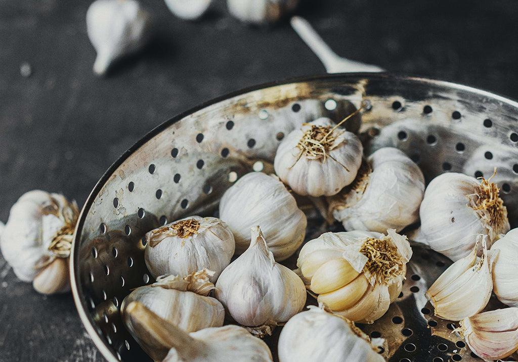 Garlic: Is It Safe For Your Dog To Eat?