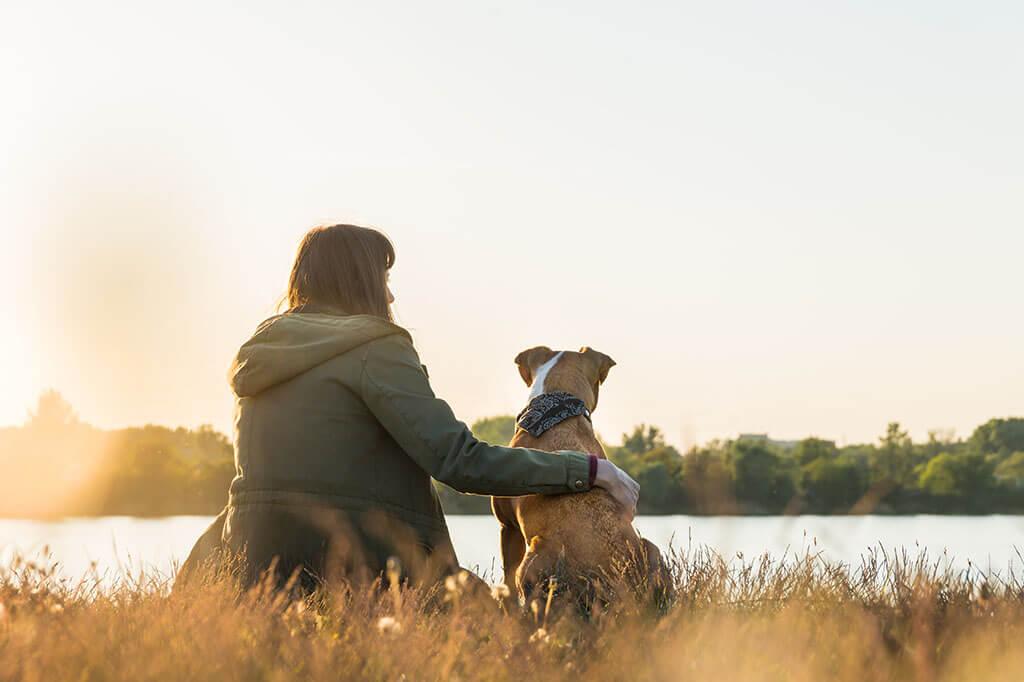 3 Ways to Strengthen Your Bond with Your Dog