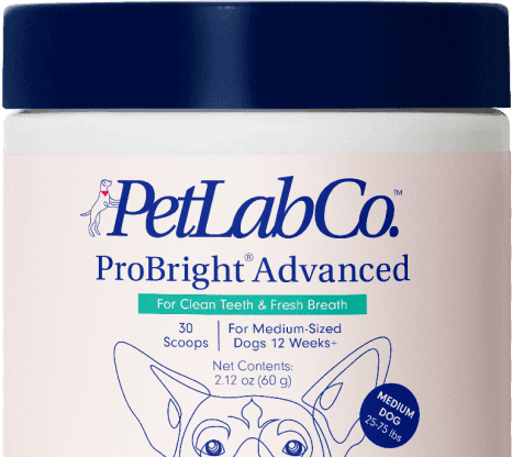 Probright-Advanced Product Image