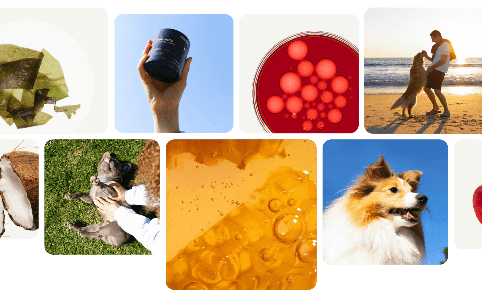 Health Quiz