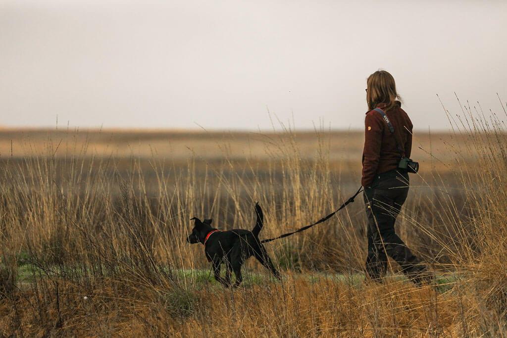 The Health Benefits Of Walking Your Dog