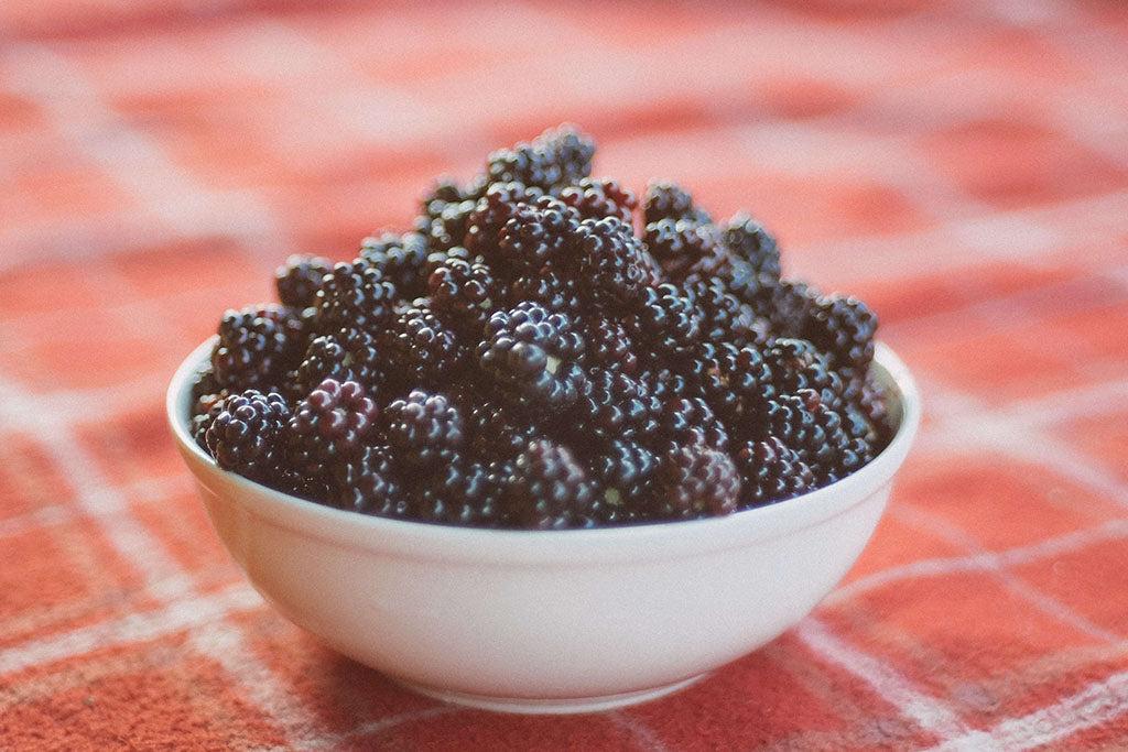 Can Dogs Eat Blackberries?