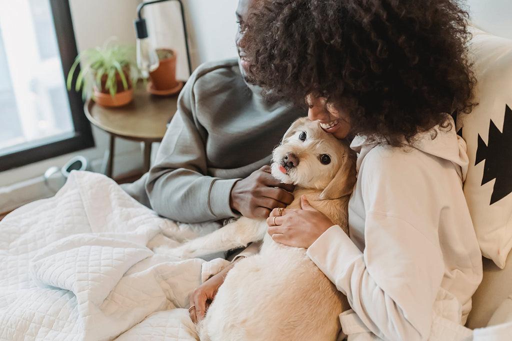 What To Feed Your Dog To Help Keep Their Brain Healthy