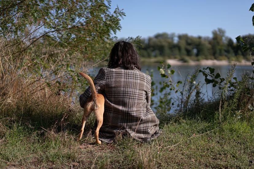 What’s The Meaning Behind The Dog Tail Position? PetLab Co