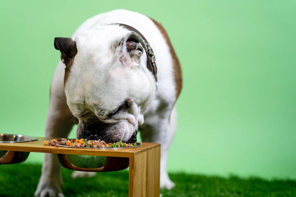 Fiber Foods For Dogs