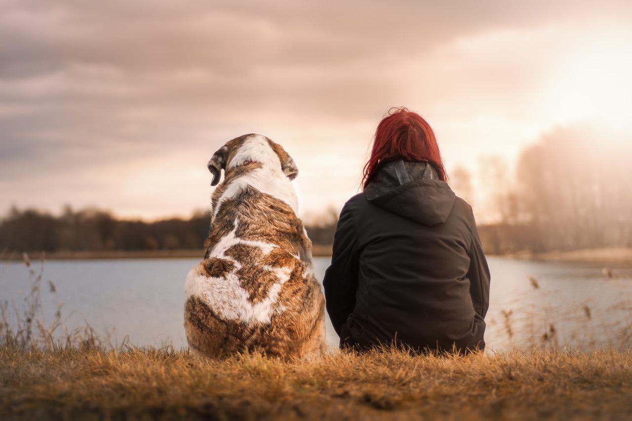 Pets And Mental Health: The Mood-Boosting Power of Animals