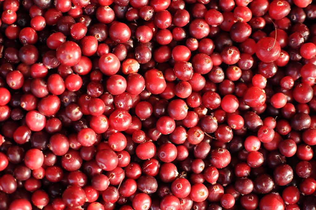 Can Dogs Eat Cranberries?