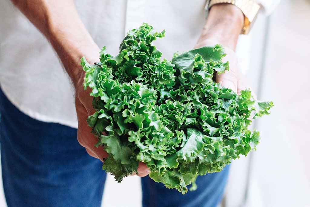 Can Dogs Eat Kale?