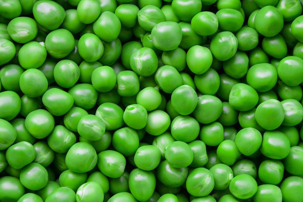 Can Dogs Eat Peas?