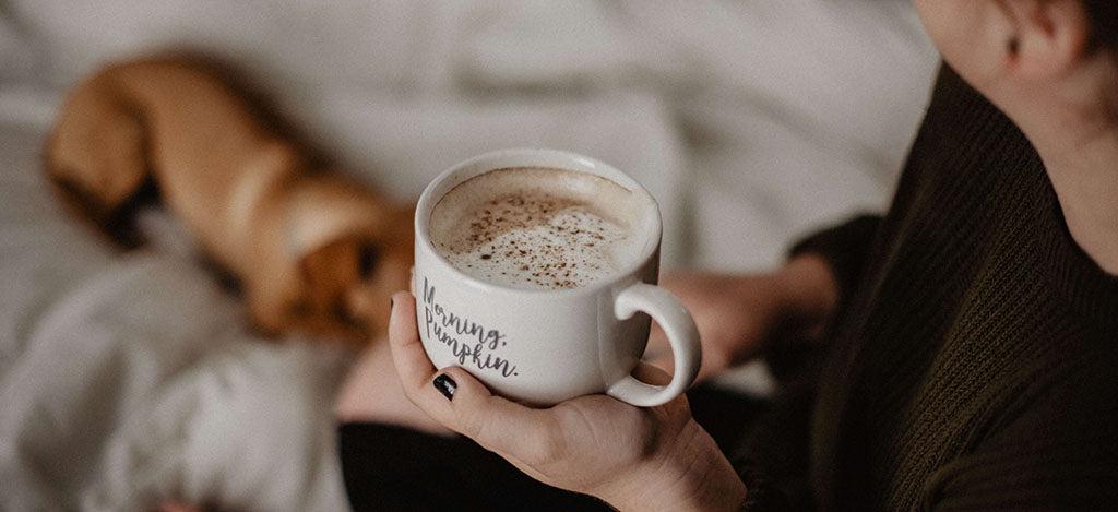 How To Make A Pumpkin Spice Latte For Dogs