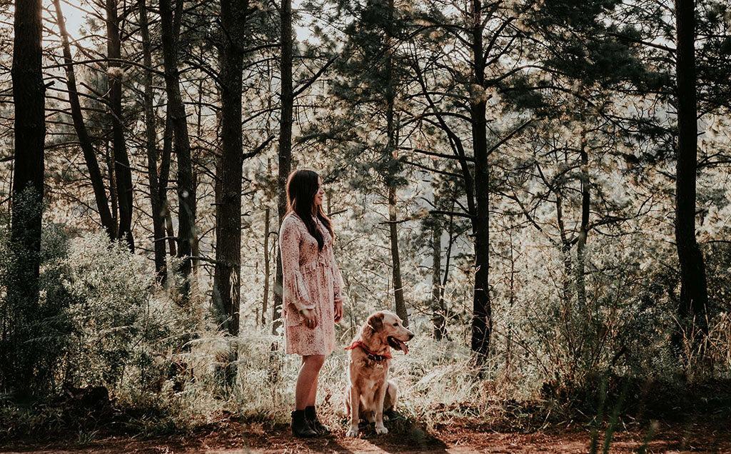 How To Get Sap Out Of Dog Fur PetLab Co