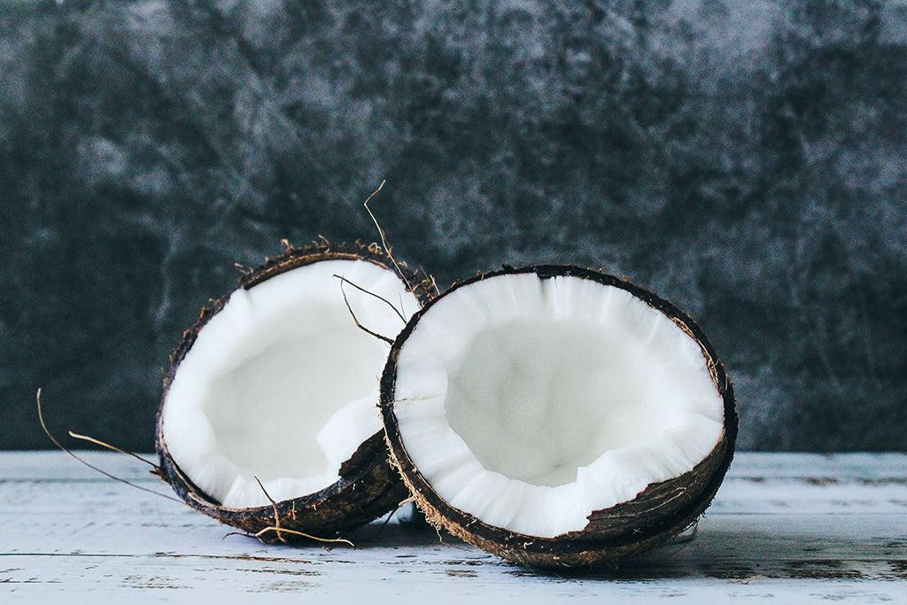 What Are The Benefits Of Coconut Oil For Dogs?