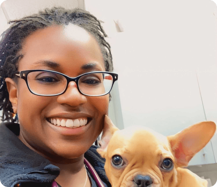 Everything You Need To Know About Puppy Teething PetLab Co