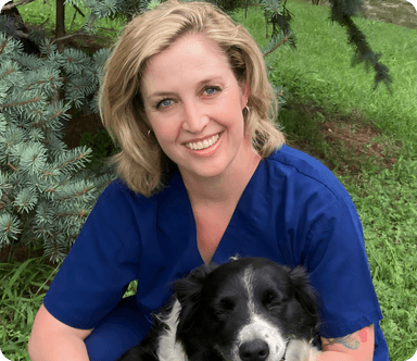 7 Surprising Benefits of Bone Broth for Dogs - PetLab Co