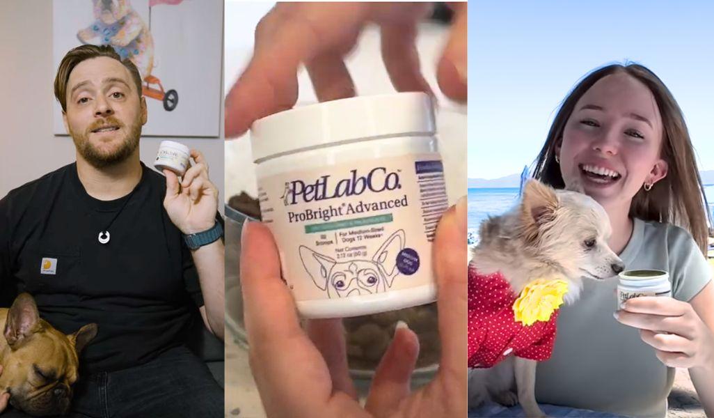 PetLab Co. Dental Powder Reviews: Top 5 from YouTube Pet Parents 