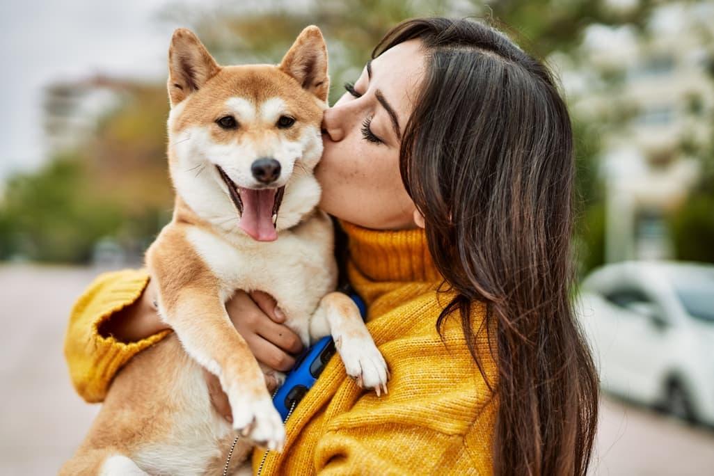 Why Do I Love My Dog So Much? — The Bond Explained