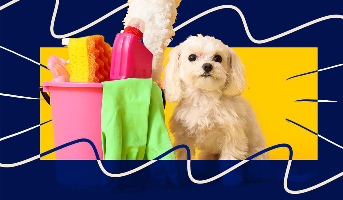 How to Organize and Store Your Dog’s Supplies Easily