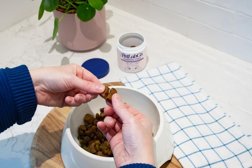 View of Top-Rated Probiotics for Dogs: Picks for Gut, Skin & Dental Health ...