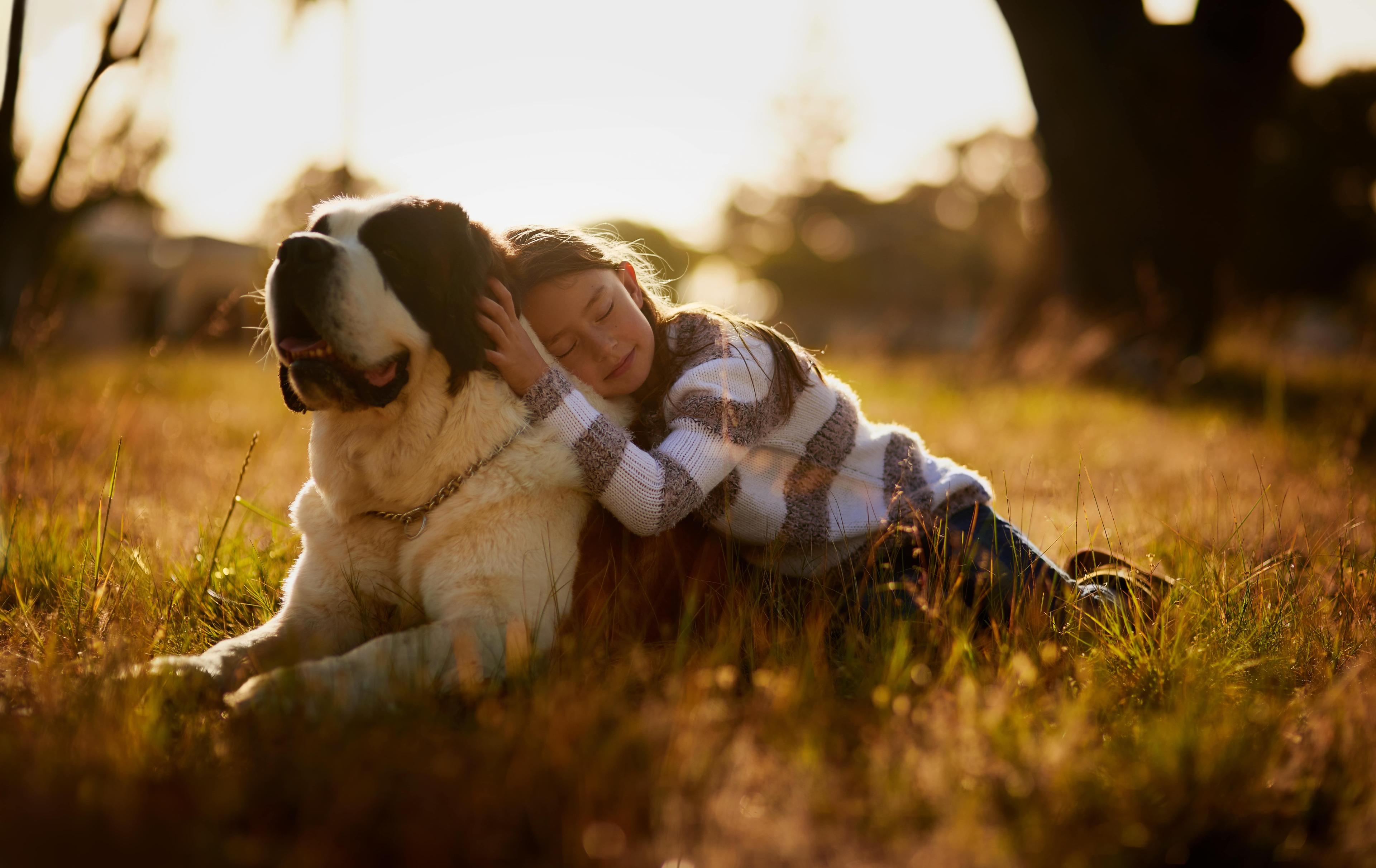 Reddit’s Most-Asked Dog Care Questions Answered by a Vet