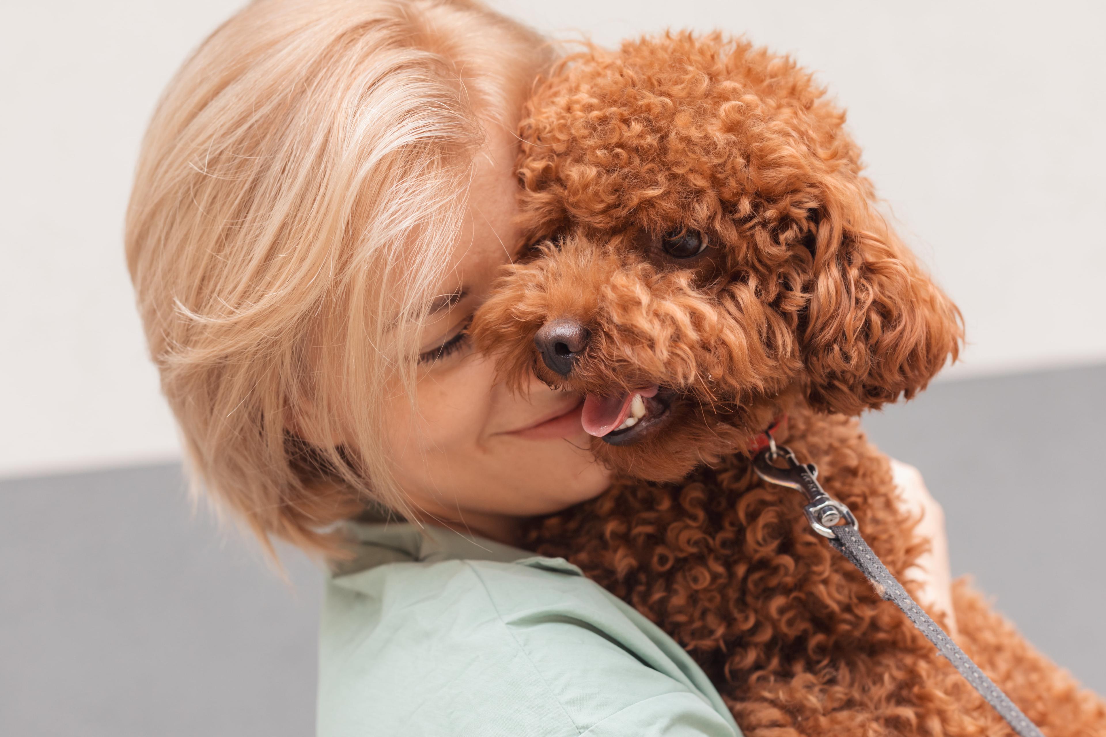 Allergy-Friendly Small Dogs: 5 Breeds That Shed Less