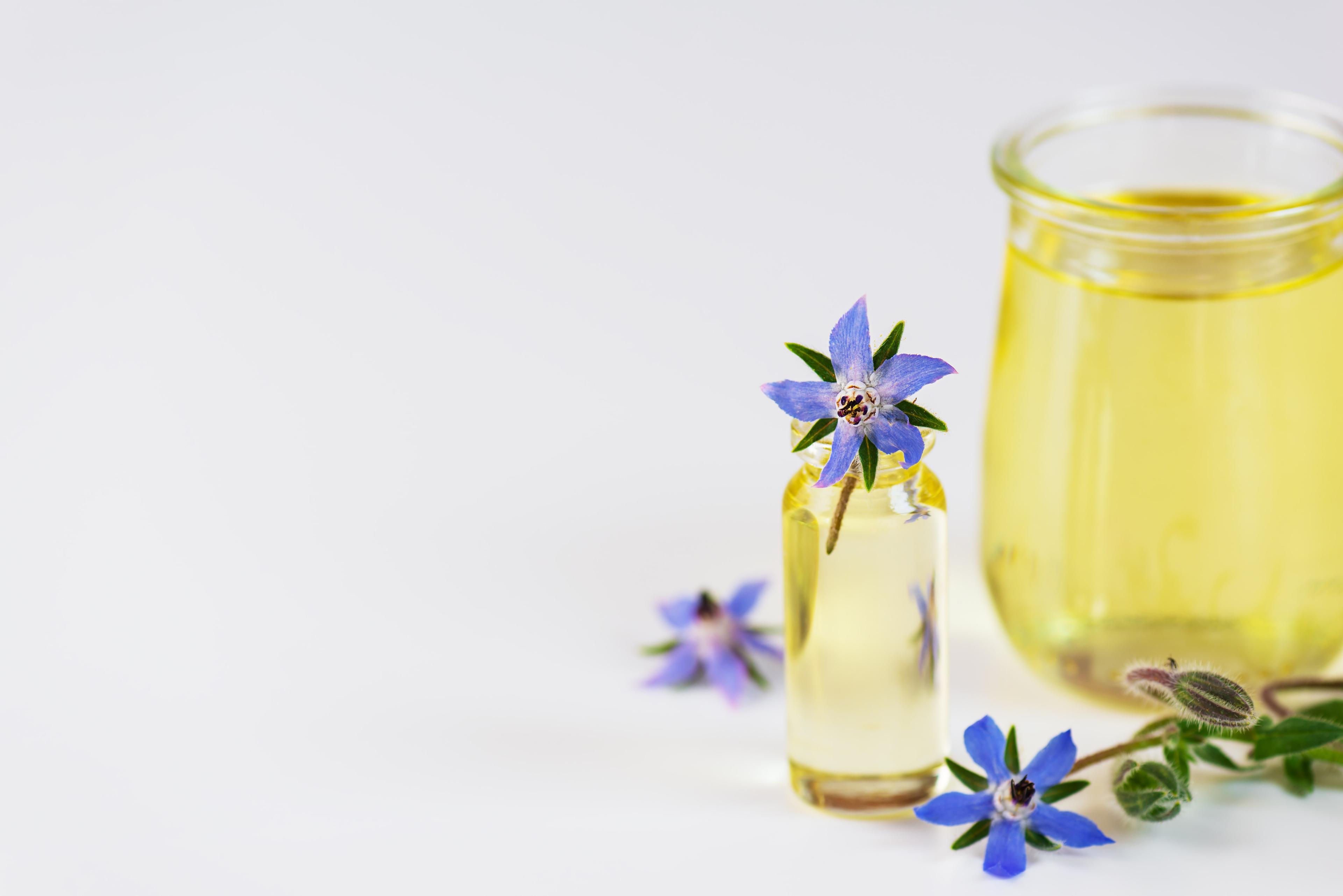 Borage Oil For Dogs: How This Key Allergy & Immune Chew Ingredient Can Support Skin & Immune Health