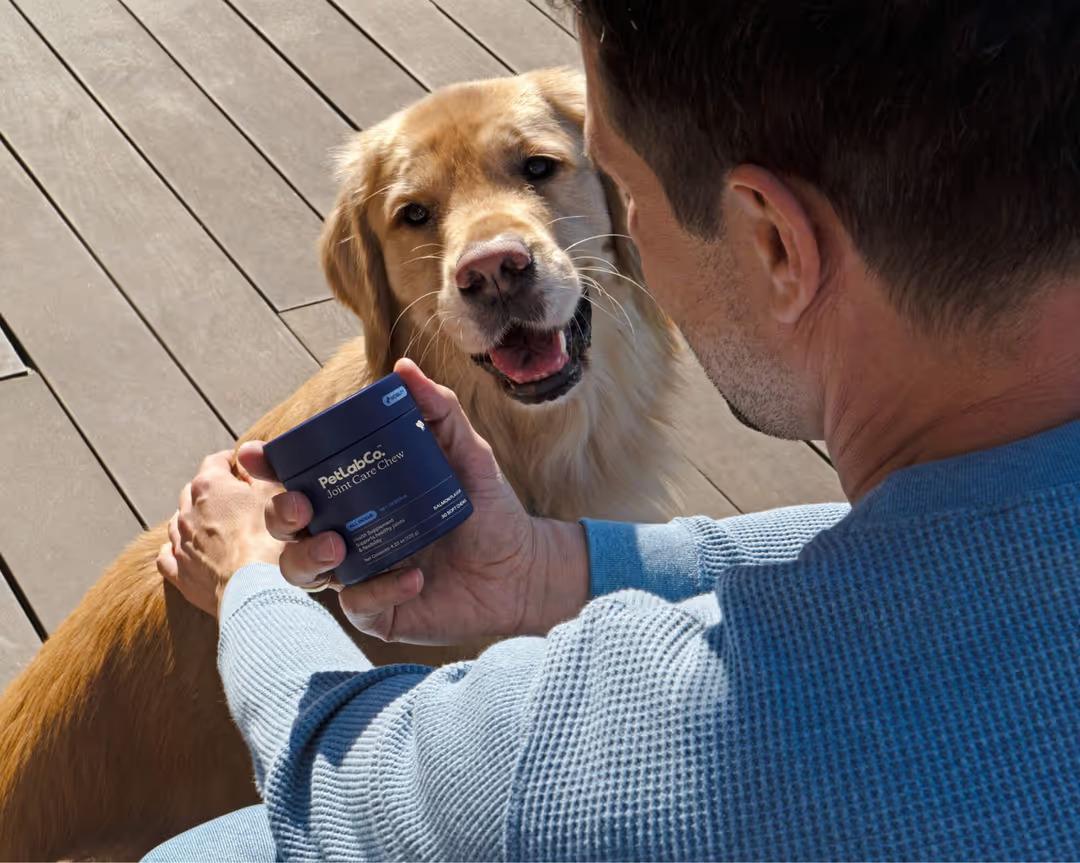 PetLab Co. Joint Care Chews: What’s In Our Supplement For Dog Joints?