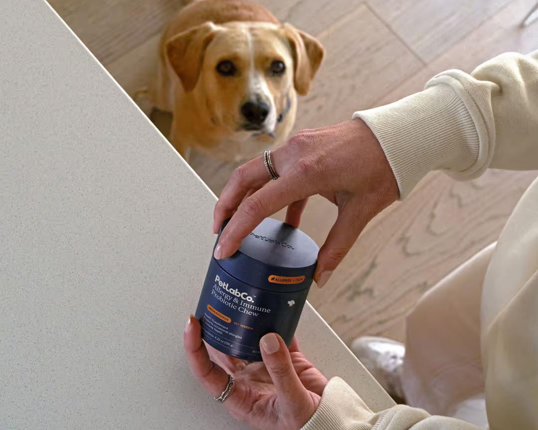 PetLab Co. Allergy & Immune Reviews: What Our Customers Are Saying!