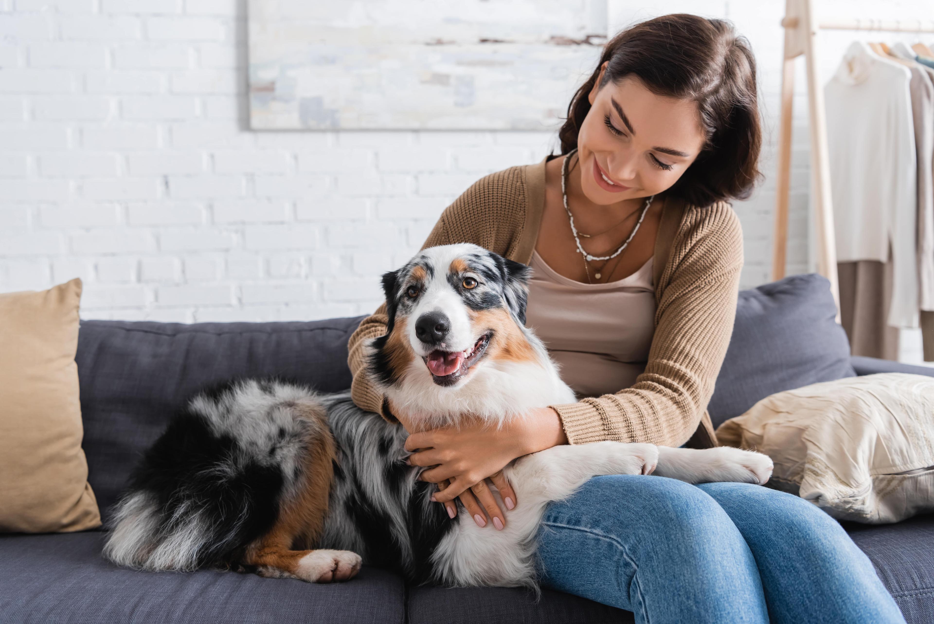 7 Ways To Support Your Dog’s Immune System At Home