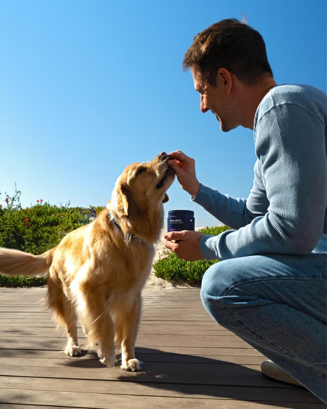 Fructooligosaccharides For Dogs: What A Vet Wants You To Know