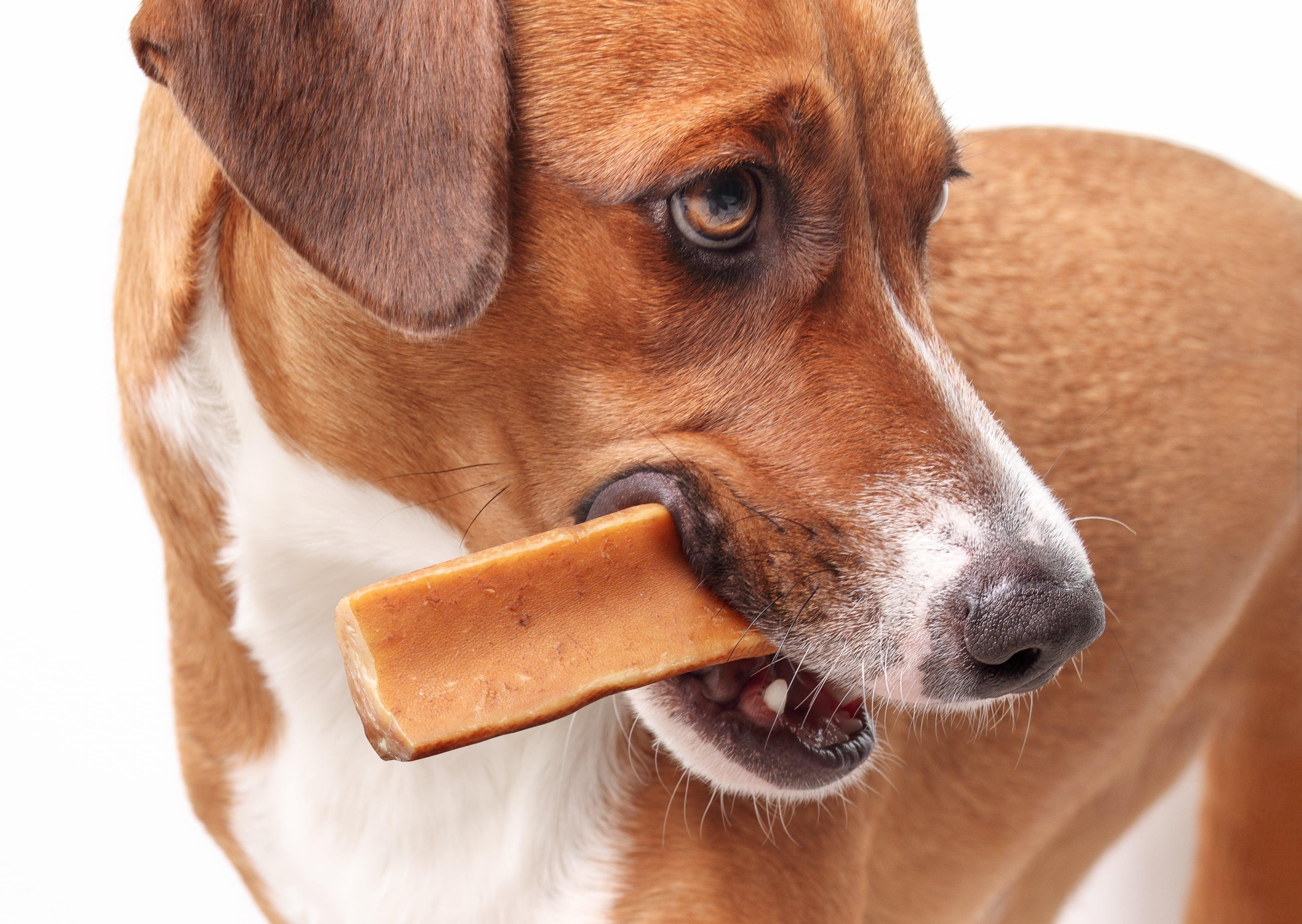 Dental Sticks for Dogs: What’s In Them & How Do They Support Clean Teeth?
