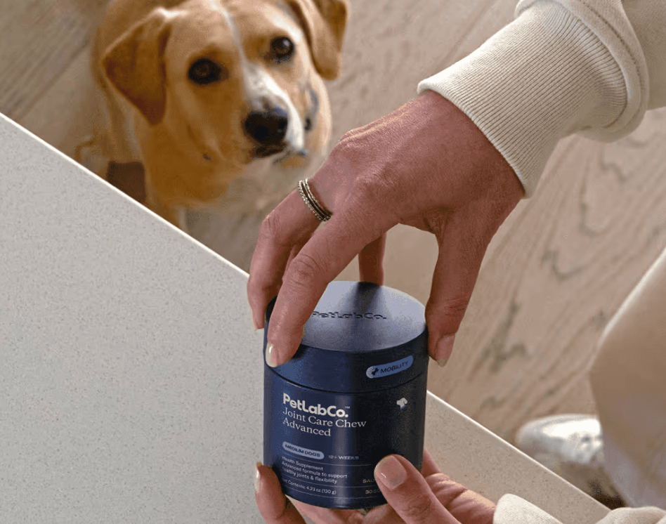 PetLabCo. Joint Care Advanced Chews: A Vet’s Review