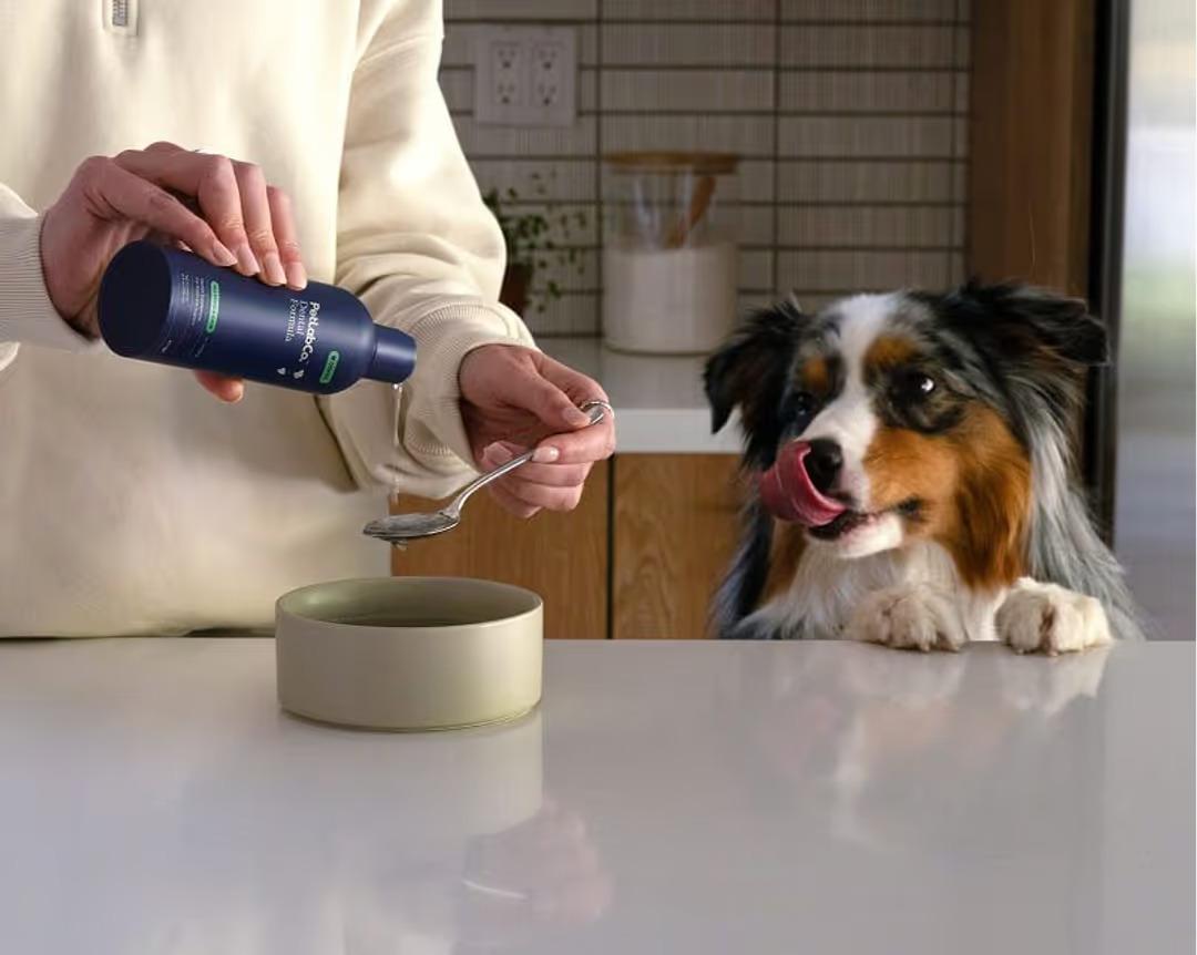 PetLabCo. Dental Formula Reviews: What Pet Owners Think (Verified Purchases)