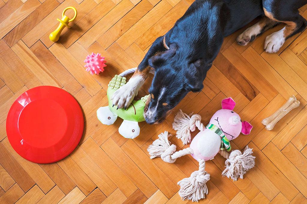 Homemade Dog Toys
