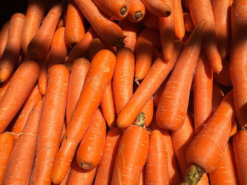 Are Carrots OK For Dogs?