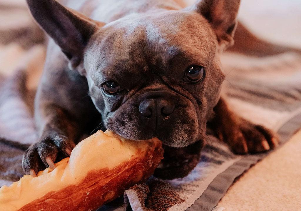 Best Meats For Dogs