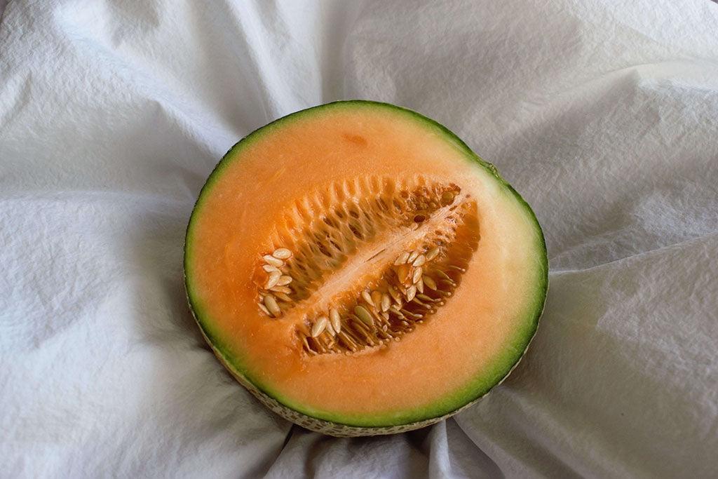 Can Dogs Have Cantaloupe?