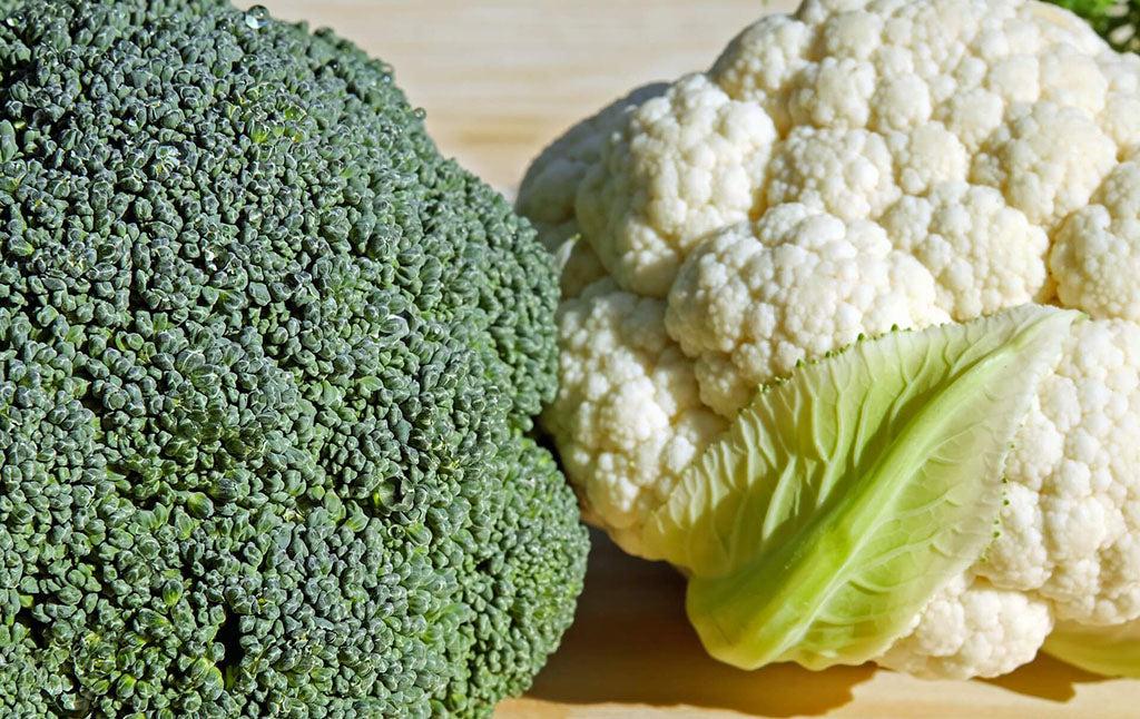 Can Dogs Eat Broccoli And Cauliflower?