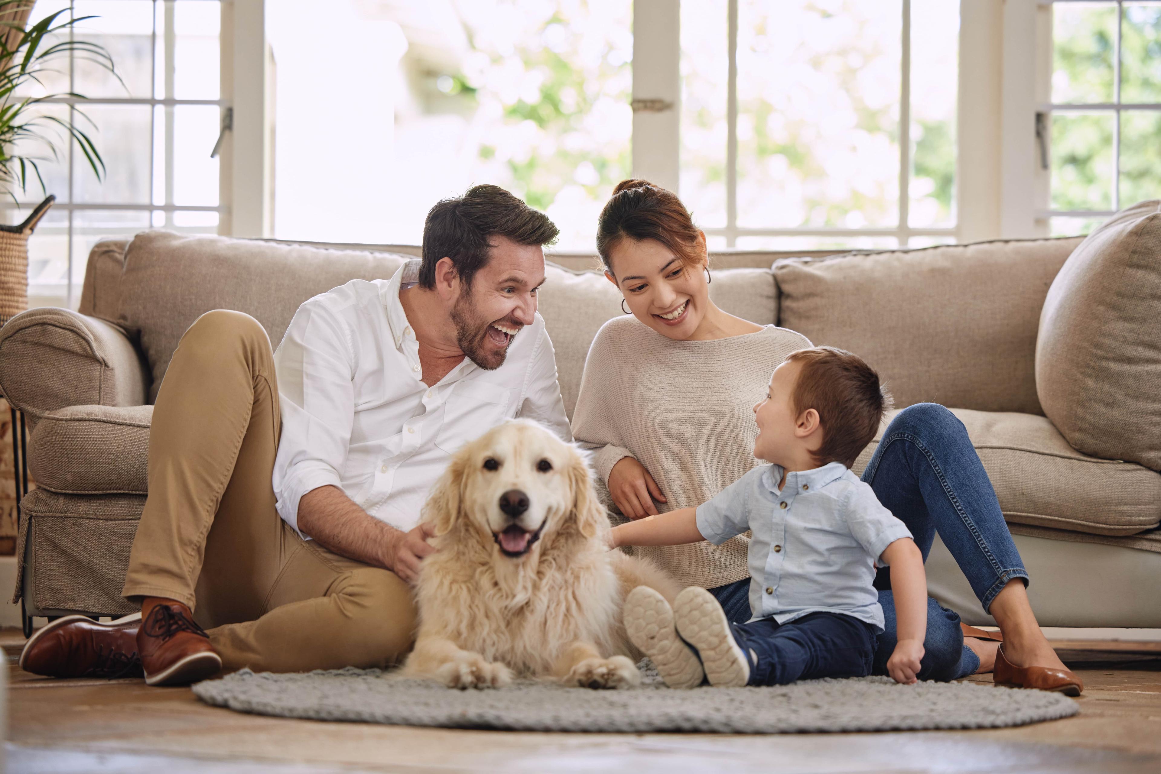 How Long Does It Take For Dog Probiotics To Work?